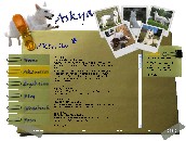 Aktuelles