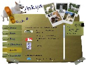 Links